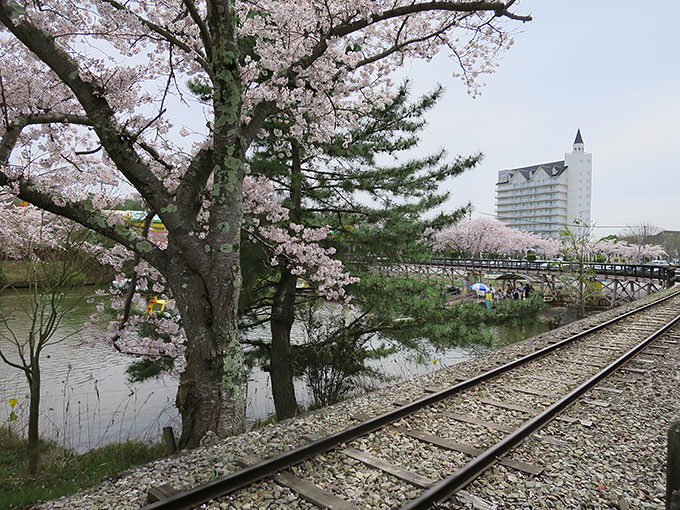イエロー・ロコモーションの横を抜けて