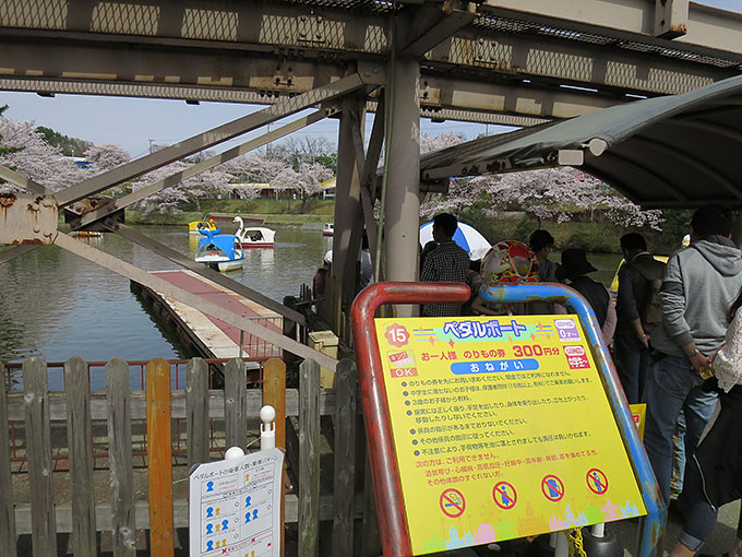 ペダルボート(白鳥・クジラ)へ!