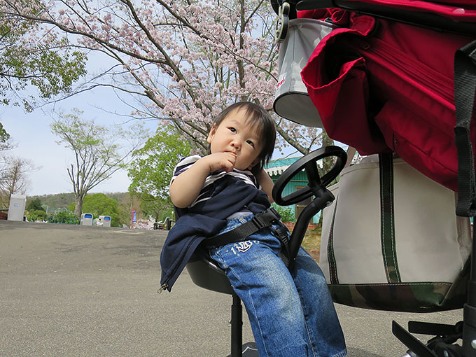 次男君はお留守番