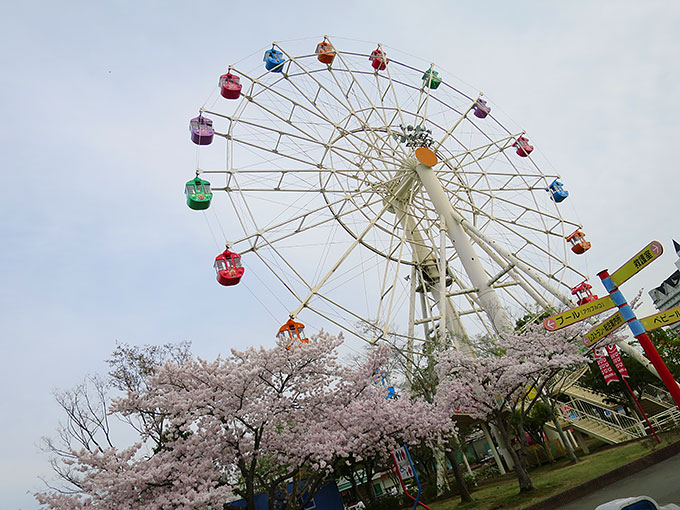 大観覧車