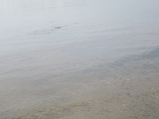 イナッコの波紋