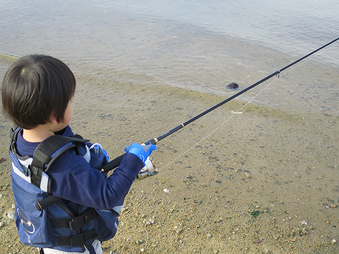ダイワのモバイルパック705TMLS