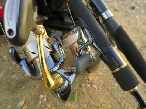 親子釣行にて大量のベイトを確認!!