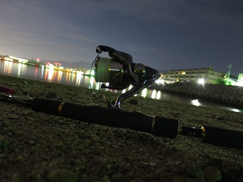 ハクは大量に居るものの…