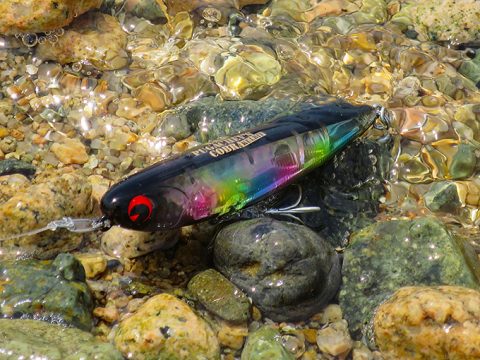 連休前に釣りをしてきたものの…