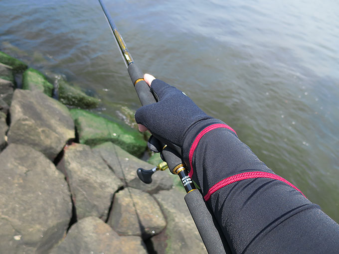 太陽の日差しを防いで