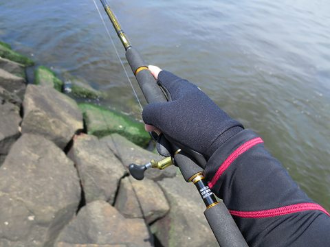 夏のデイシーバスに必須?!日焼け防止のラッシュガード!!