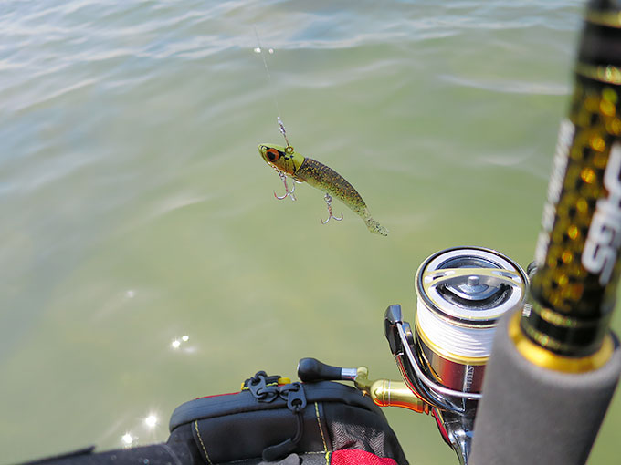 コアマンVJ-16を使ってシーバスゲット