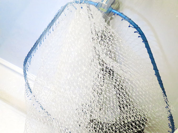 洗剤を熱湯で洗い流す