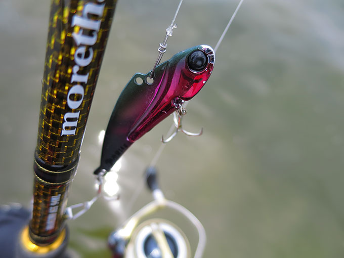 ヒットルアーはチビ冷音