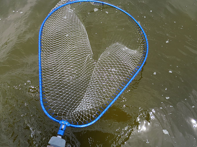 釣りで使ったタモ