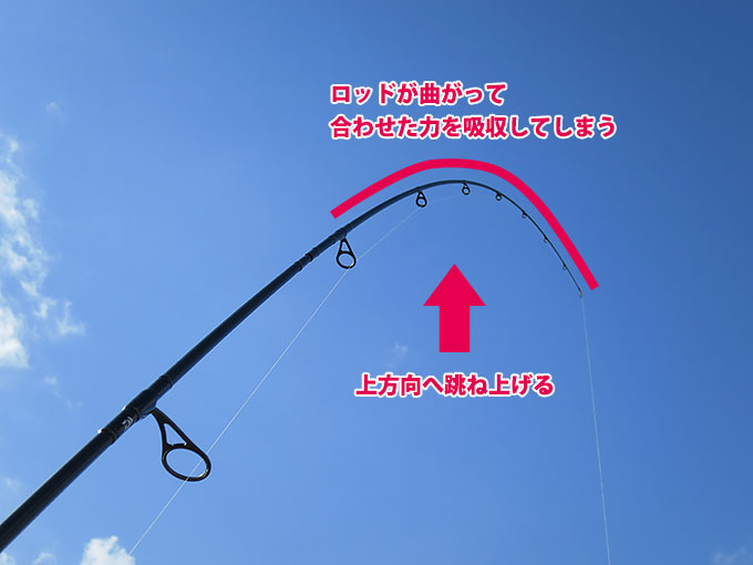 シーバスが掛かった時の合わせ方