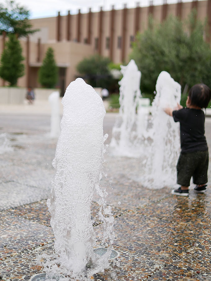 LEICA DG SUMMILUX 25mm F1.4 ASPH. にて撮影