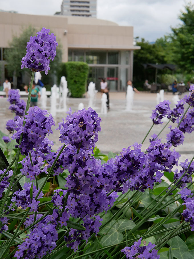 阪急西宮ガーデンズの屋上
