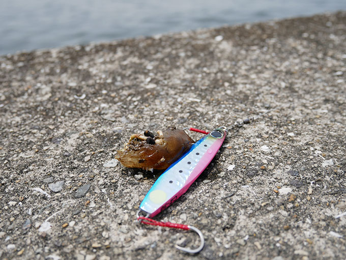 コアマン・ゼッタイ