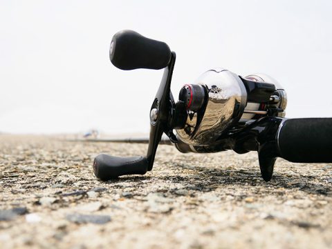 岸壁ジギングのポイント探し釣行!