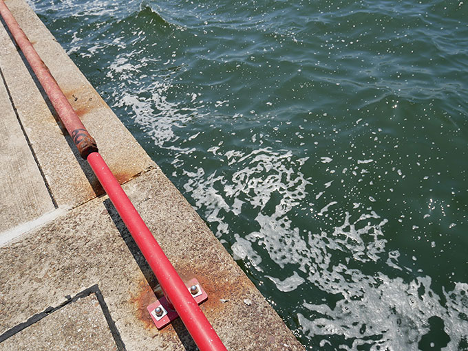 鳴尾浜臨海公園海づり広場・足元
