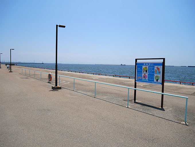 夜間の為に電灯もあります