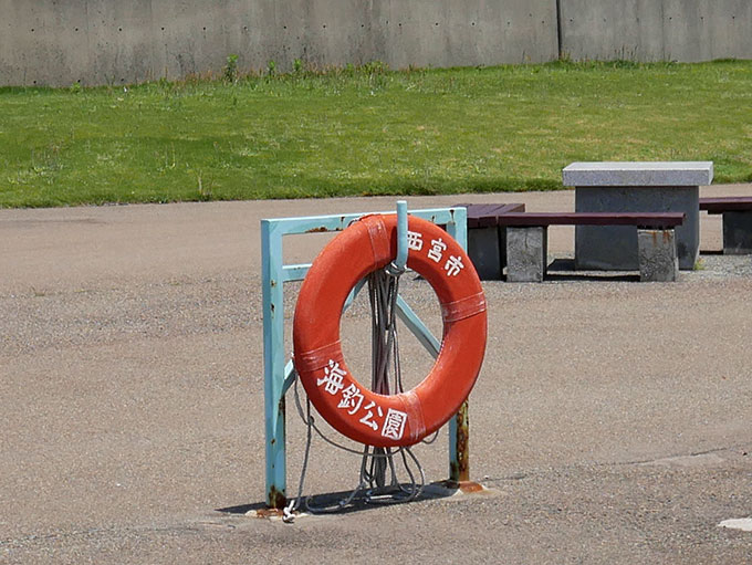 等間隔で浮き輪が設置されています