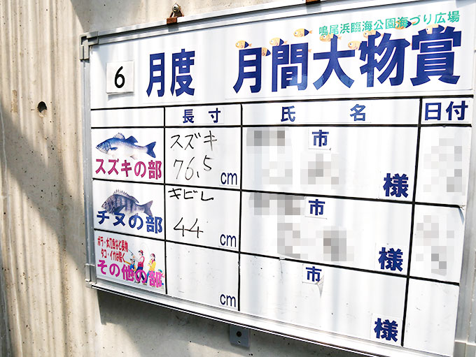 鳴尾浜臨海公園海づり広場・大物の釣果