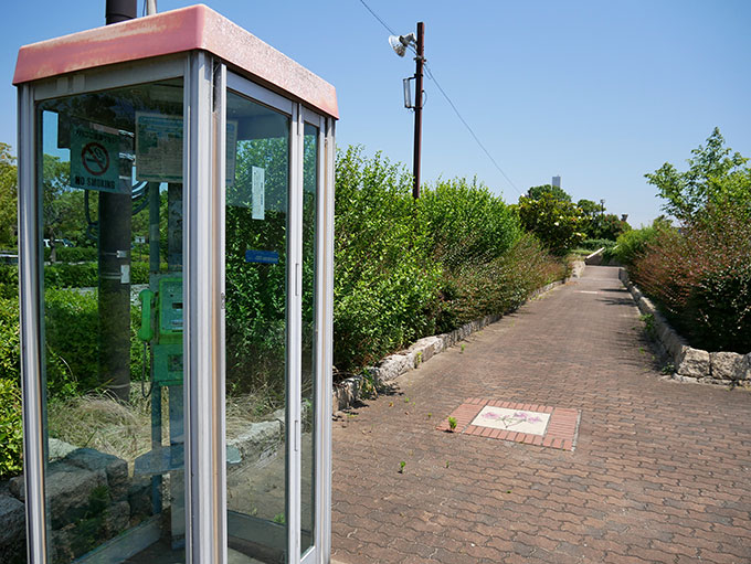 海釣り公園の受付へ向かうスロープ