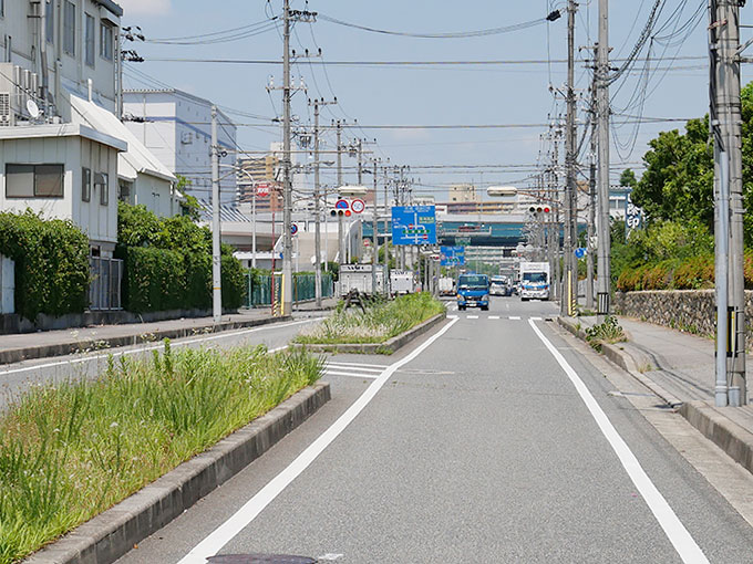 鳴尾浜のどんつきに海釣り公園があります