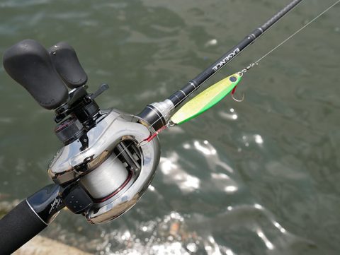 シーバスの釣り方!岸壁ジギングの方法を総まとめ!!