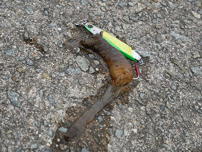 ジグを落とすも…