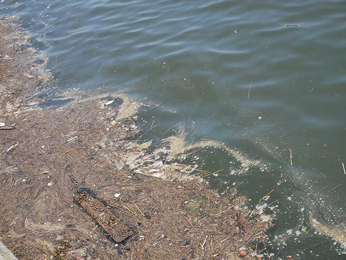 海の様子はゴミが多すぎる