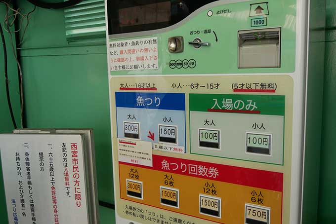 大人のチケットを購入