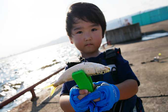 自分で釣り上げました
