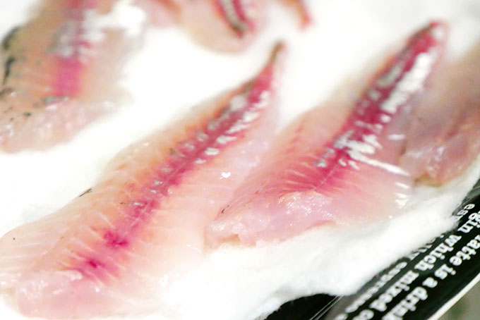 アジを刺身用にさばく