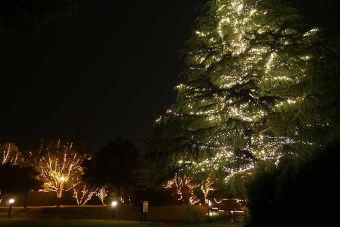 綺麗なイルミネーション