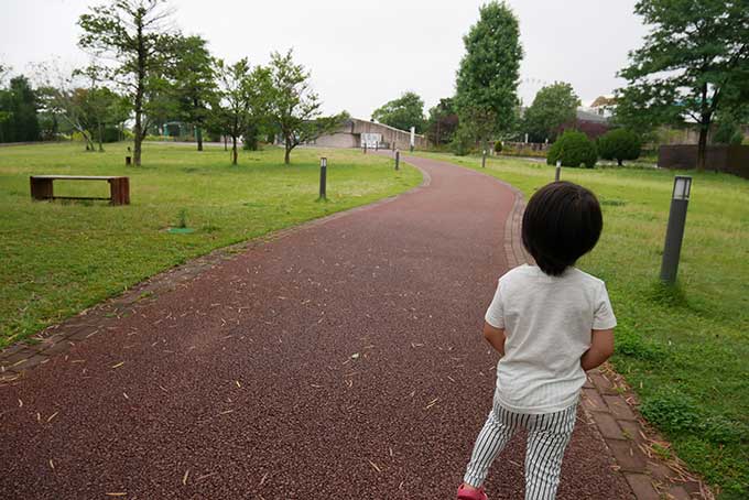 観覧車を発見!!