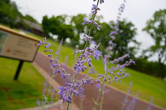鈴鹿サーキットの遊園地へ出発