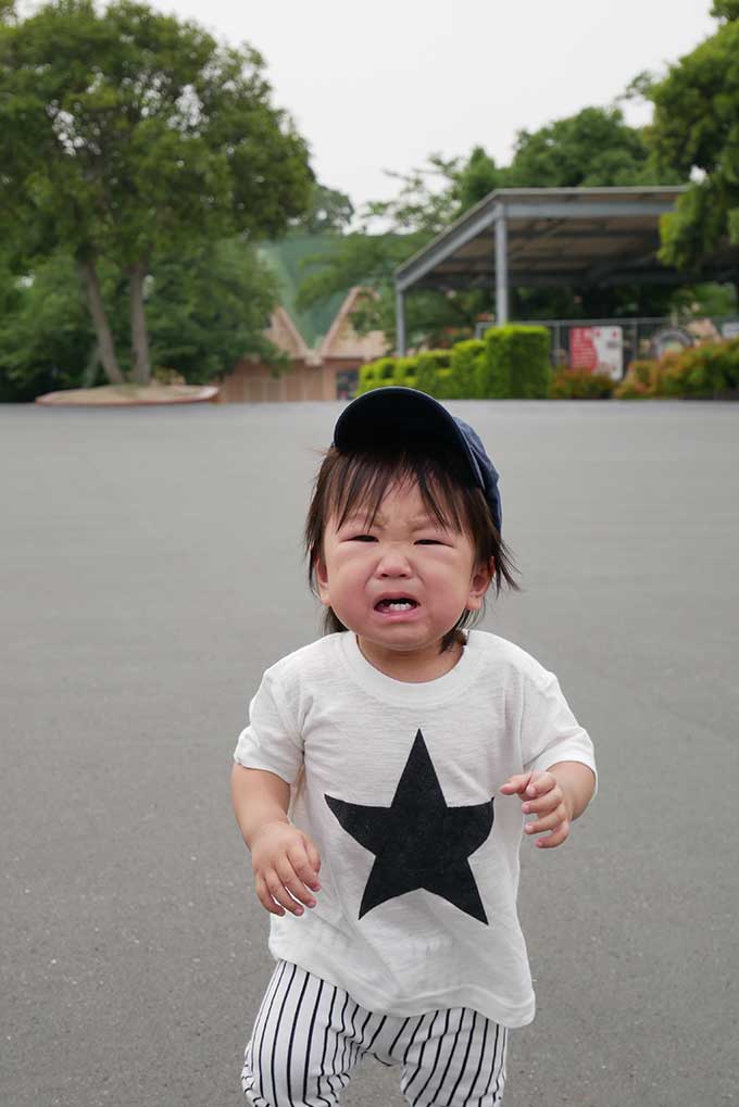 次男君は号泣!!