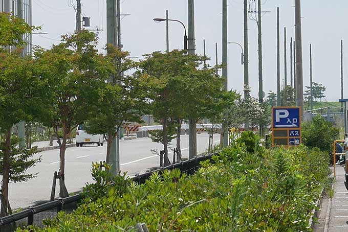 神戸どうぶつ王国の駐車場