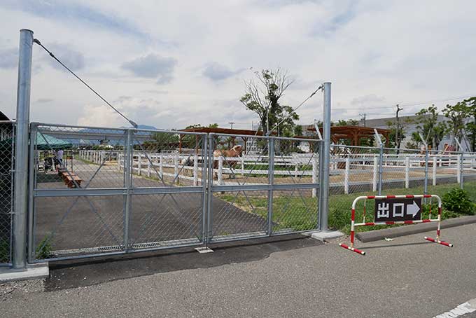 駐車場から馬が見えます