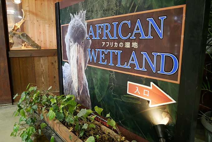 アフリカの湿地