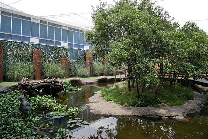 アフリカンウェットランド