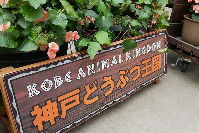 撮影ボードを発見!!