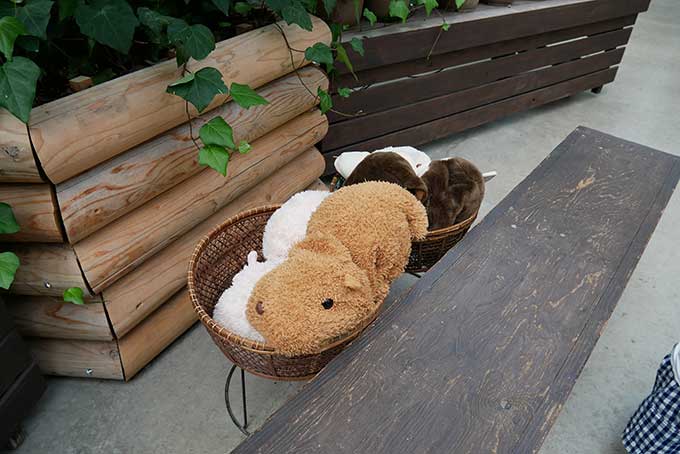 被り物と人形の貸出!!