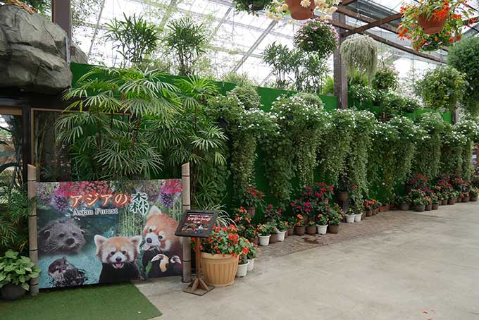 アジアの森へ!!