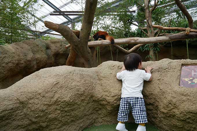 次男君も楽しんでます!!