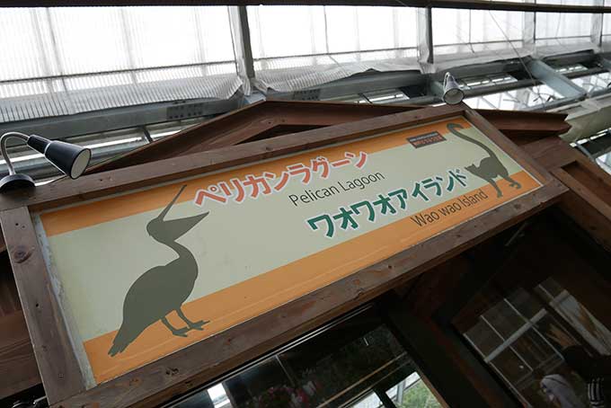 ペリカンラグーンへ!!