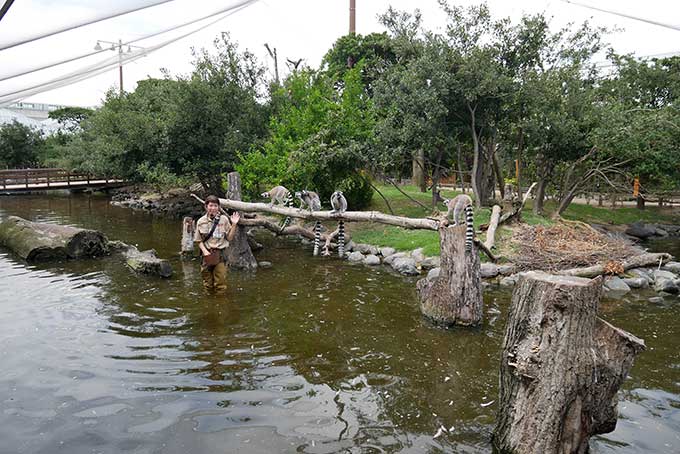 ワオワオトーク!!