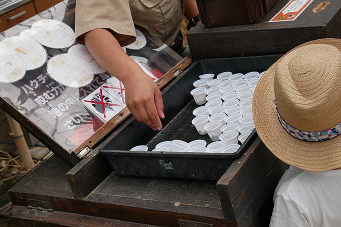 鳥の餌を購入!!