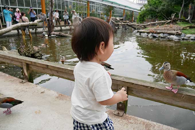 怖がらない次男君!!