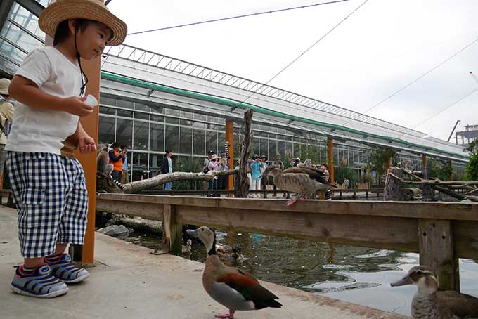 餌をあげます!!