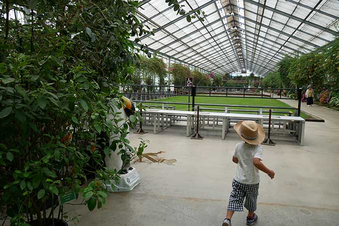 バードパフォーマンスショーを見に移動